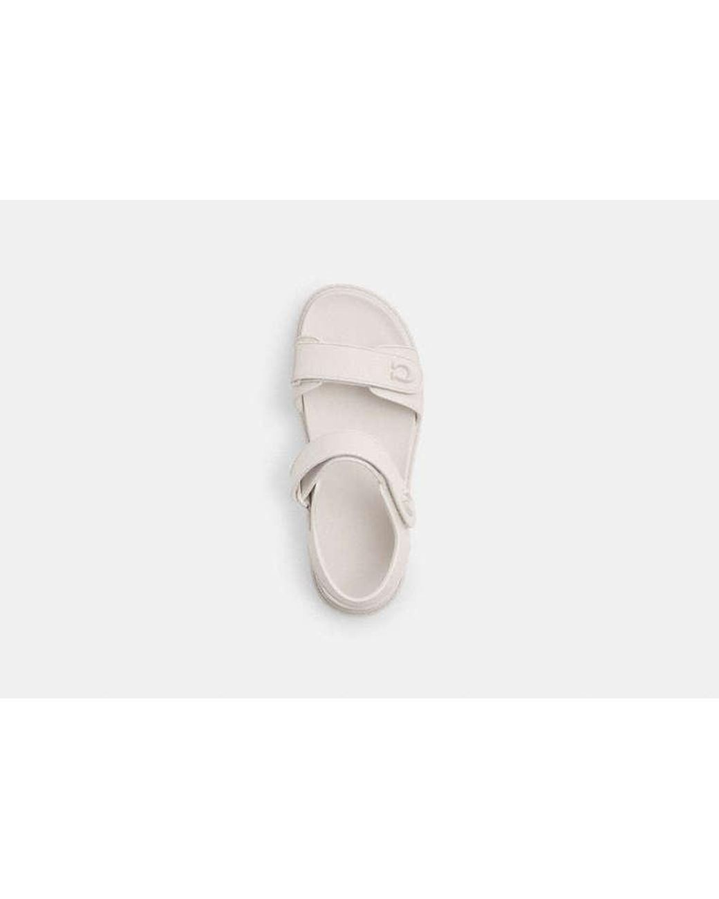 COACH Black Brynn Sandal