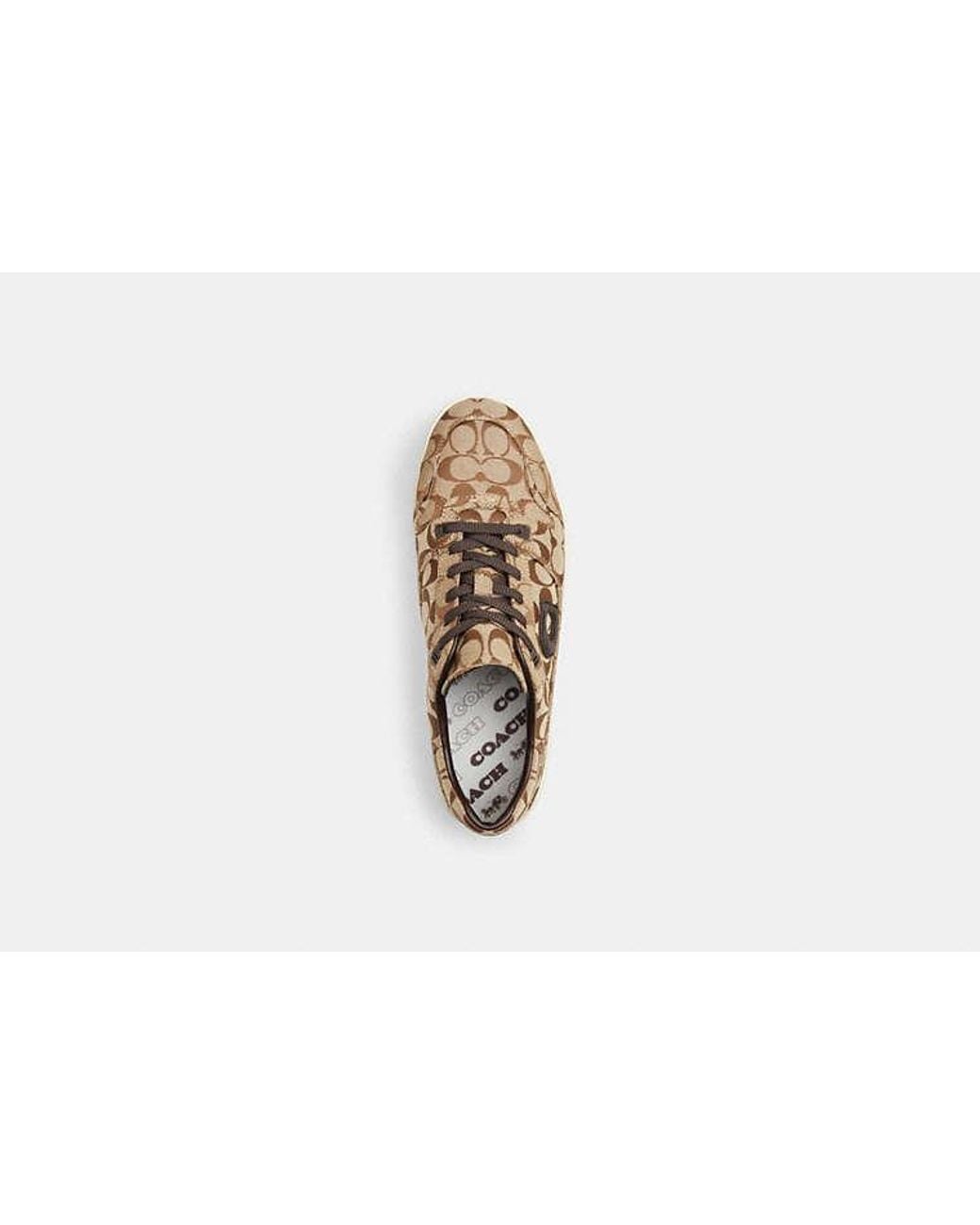 COACH Black Soft Soho Sneaker for men