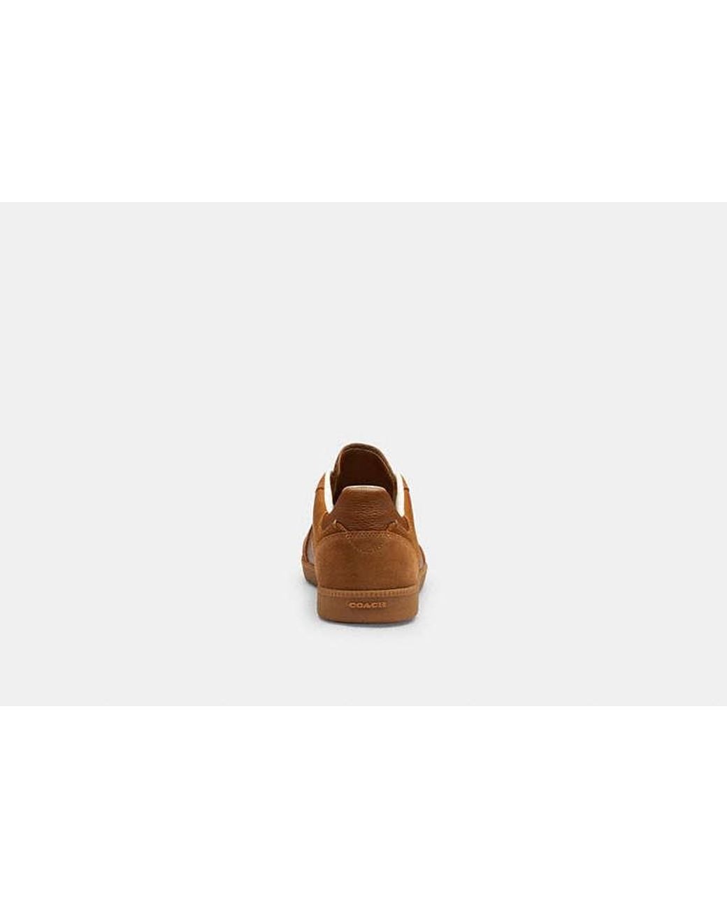 COACH Brown Ellis Sneaker for men