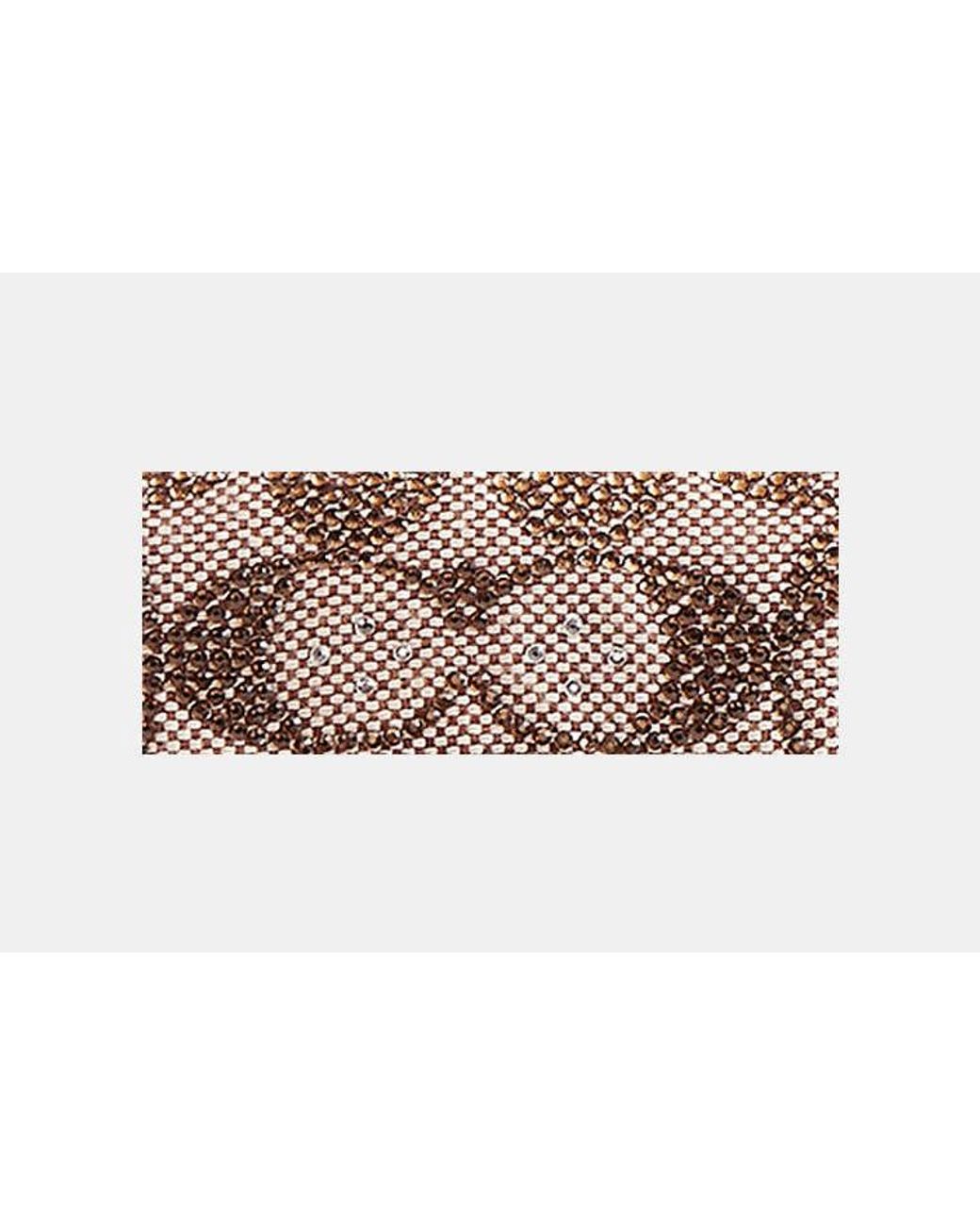 COACH Multicolor Soft Tabby Shoulder Bag 20