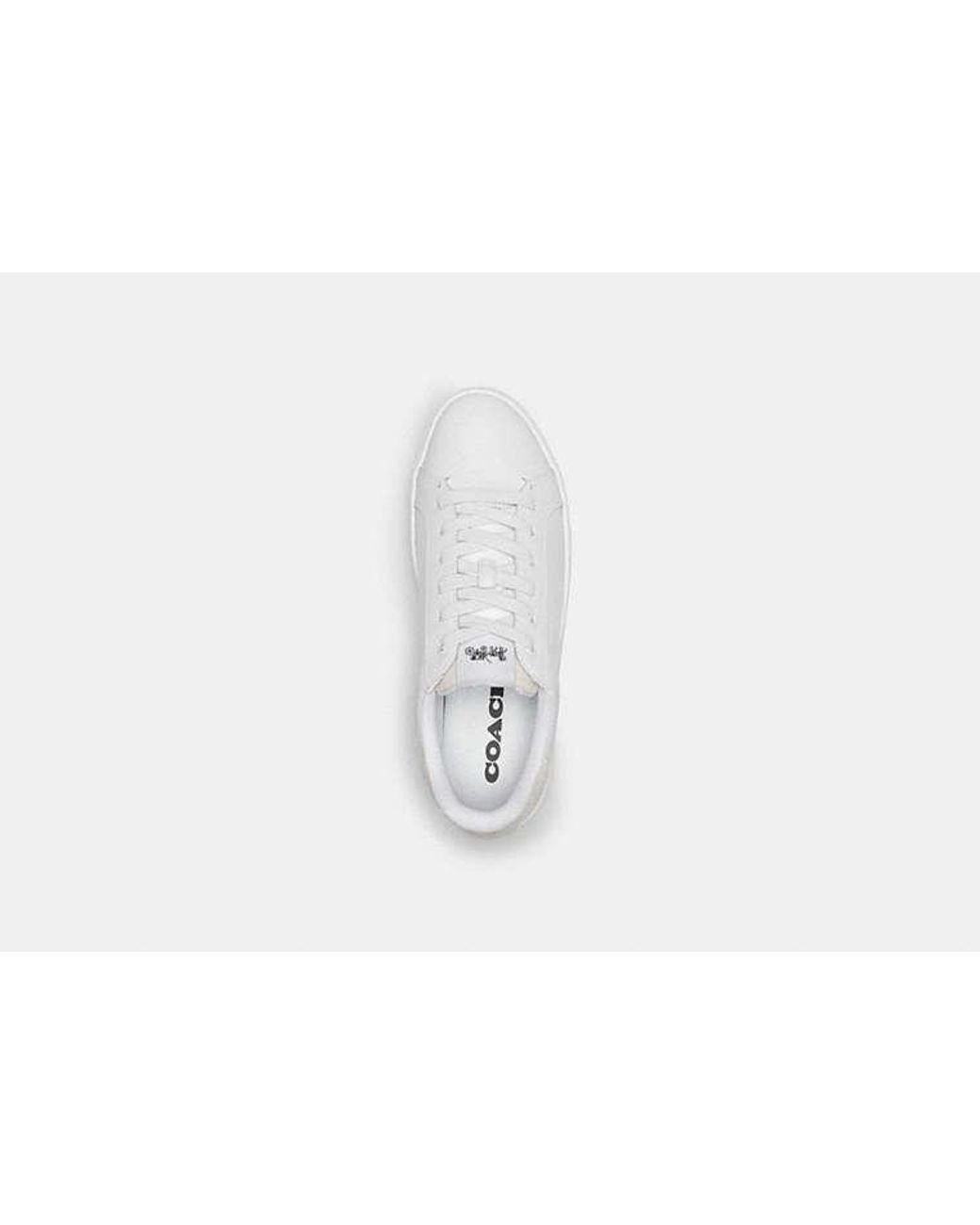 COACH Black Clip Low Top Sneaker