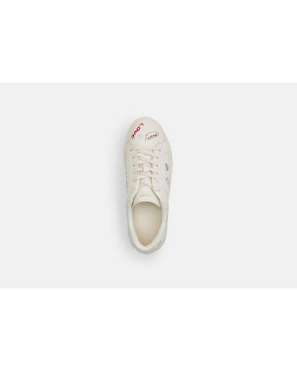 COACH Black High Line Sneaker With Sketch Print