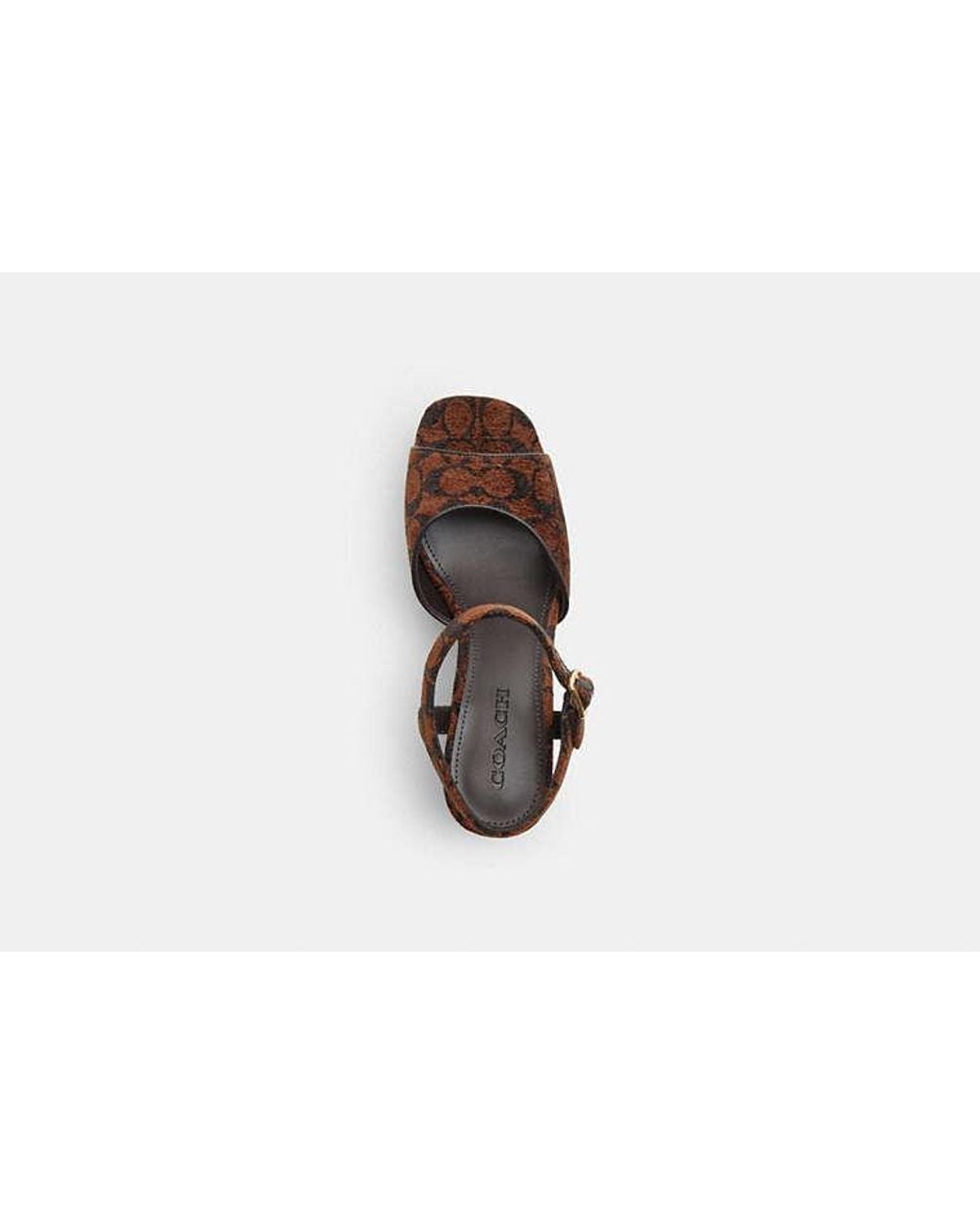 COACH Black Block Heel Sandal