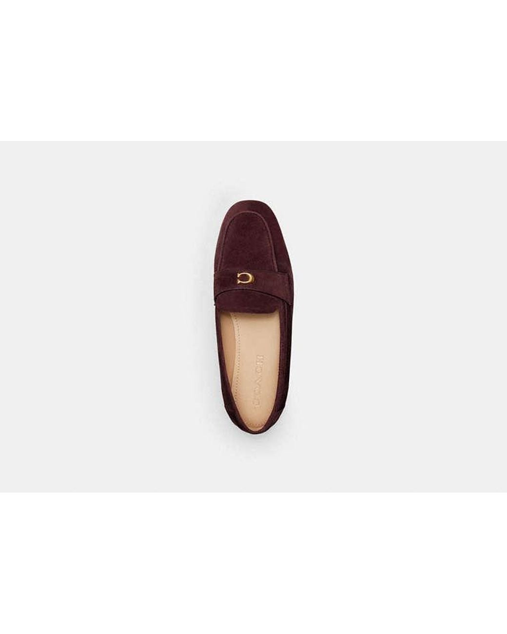 COACH Multicolor Sculpted C Loafer