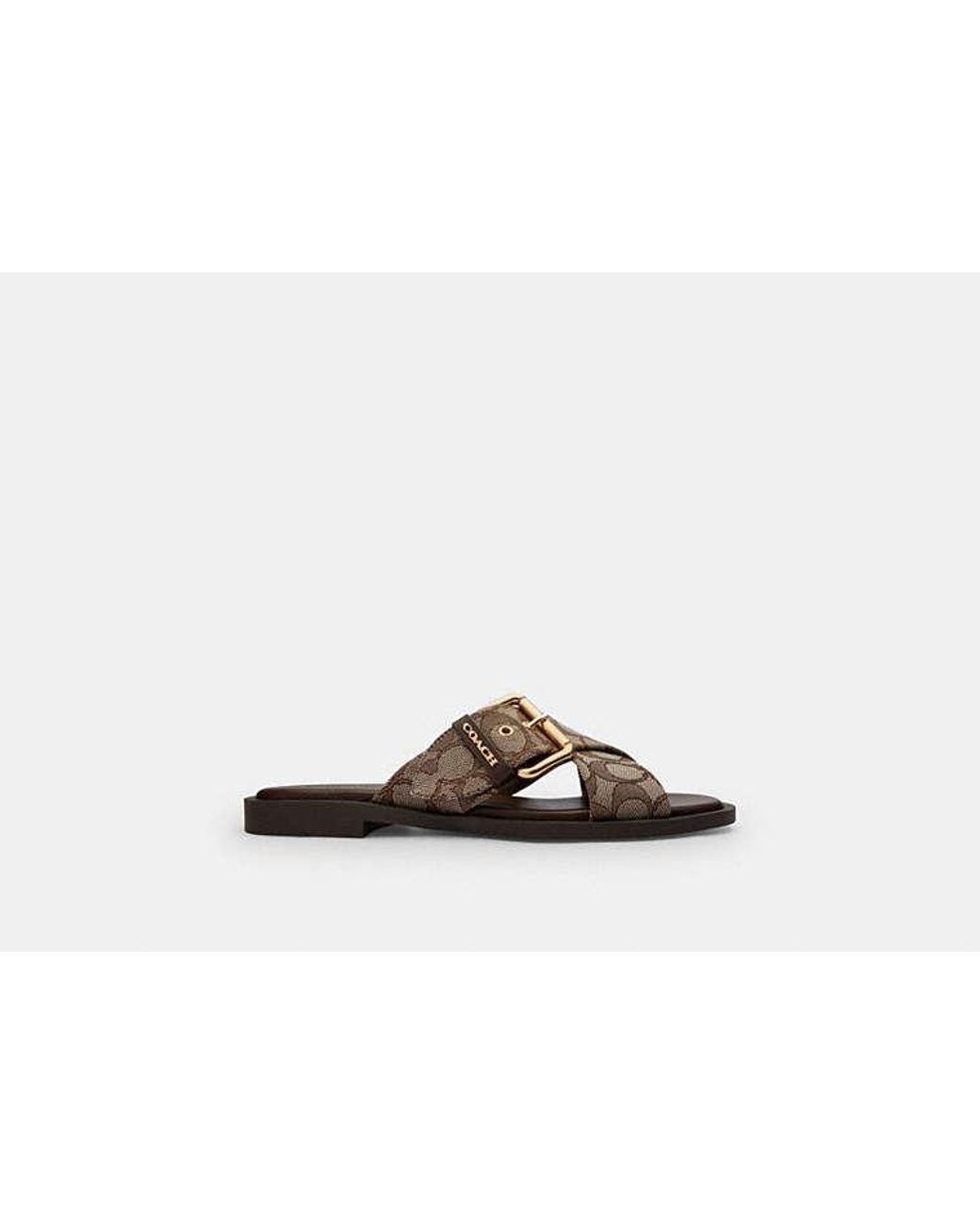COACH Black Crisscross Buckle Sandal
