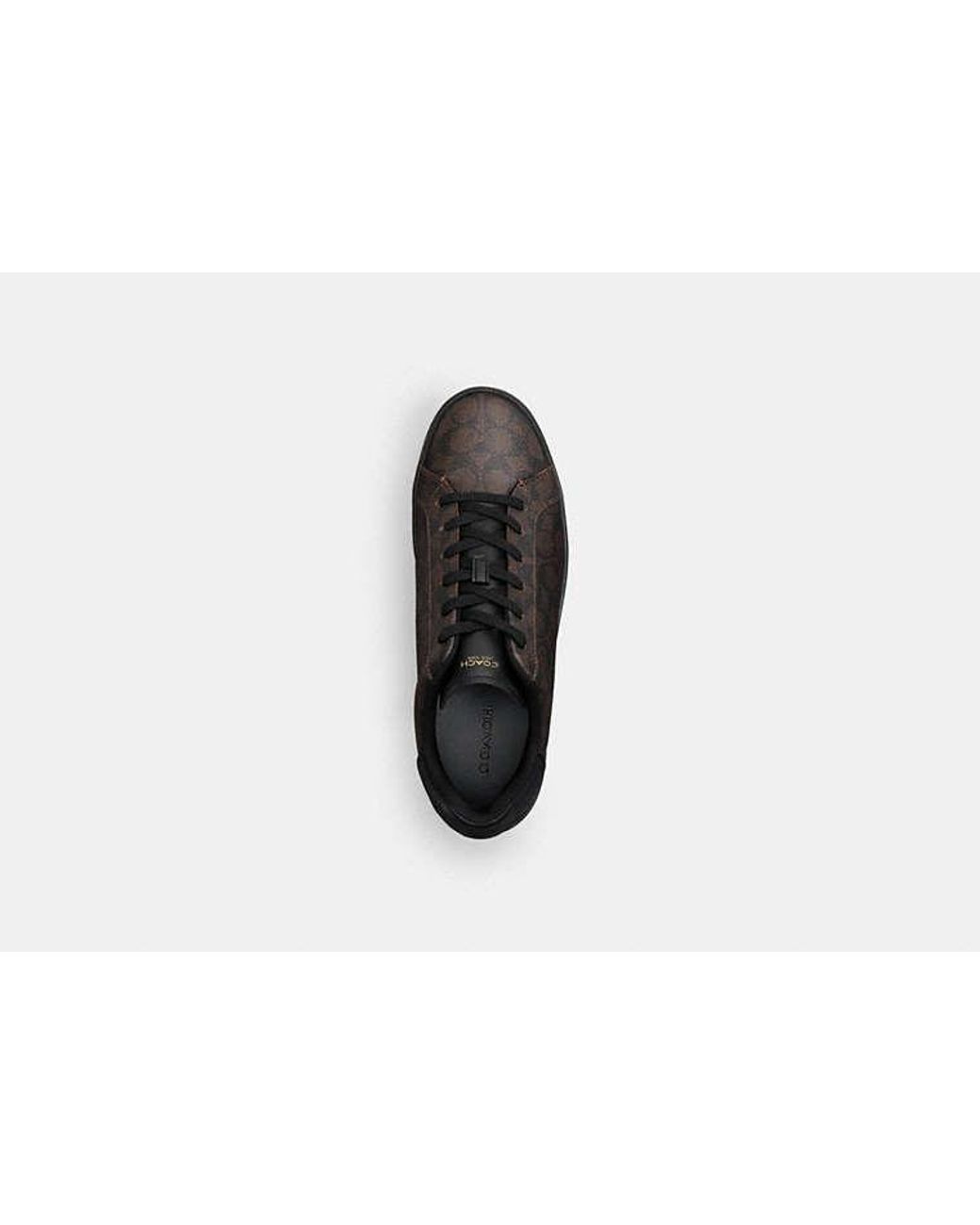 COACH Black High Line Sneaker for men