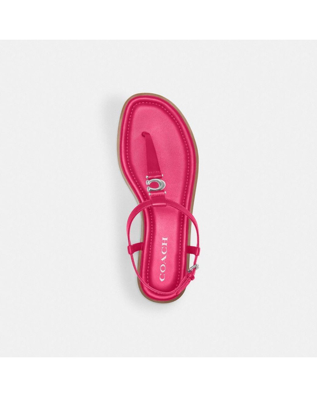 ★COACH★K-POPアイドル愛用★Jessica Sandal★サンダル Sale！ Womens Coach Jessica Sandals In Black | Soletrader
