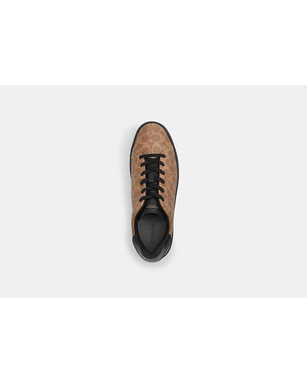 COACH Black High Line Sneaker for men