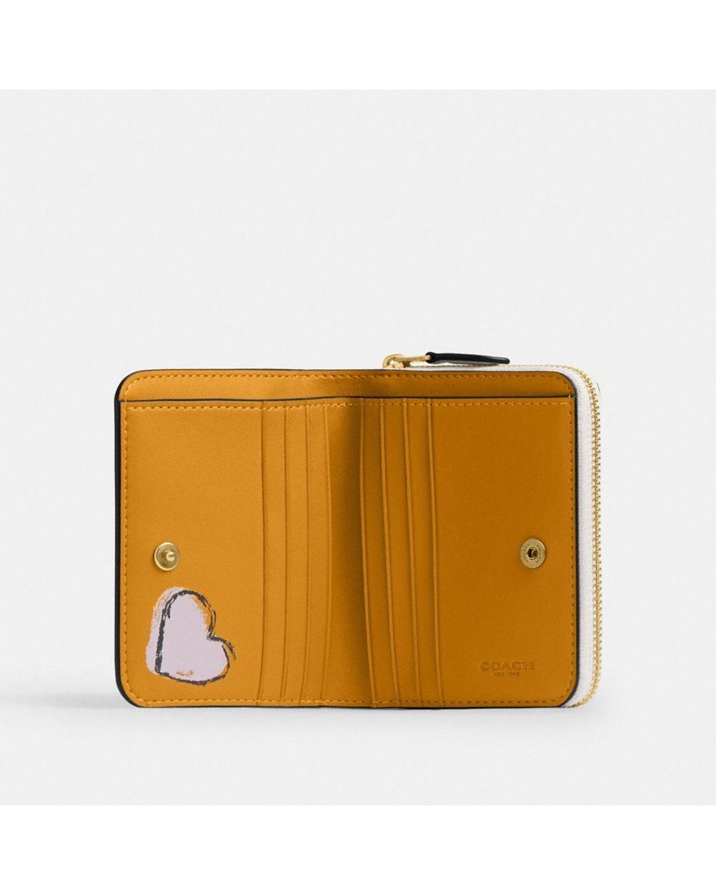 coach-Brasschalk-Multi-