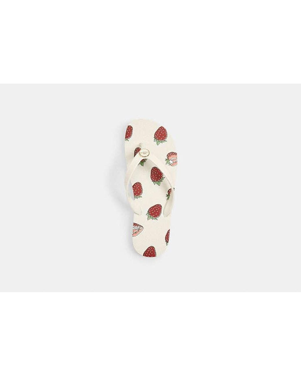 COACH Black Zayn Flip Flop With Fruit Print