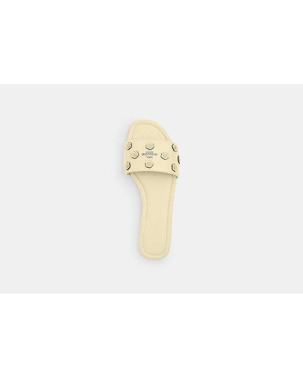 COACH Black Slide Sandal With Tea Rose
