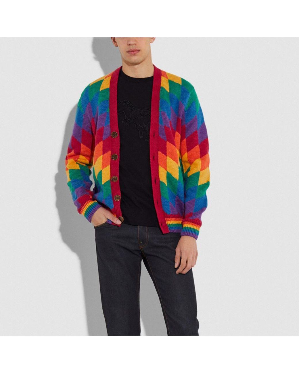 mens rainbow cardigan sweater