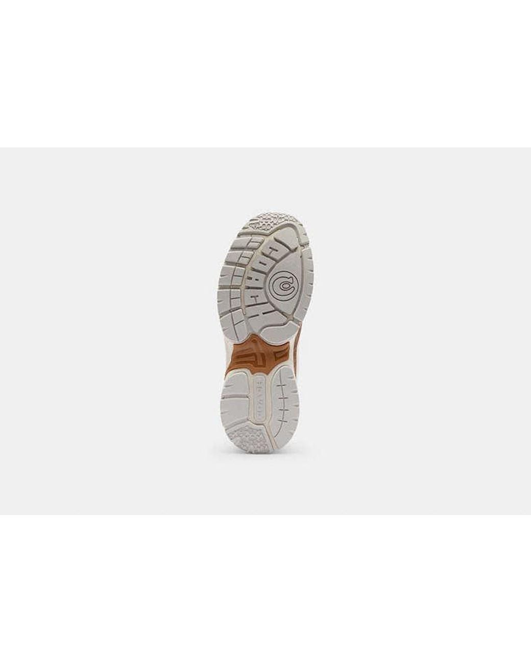 COACH Black Sport Sneaker