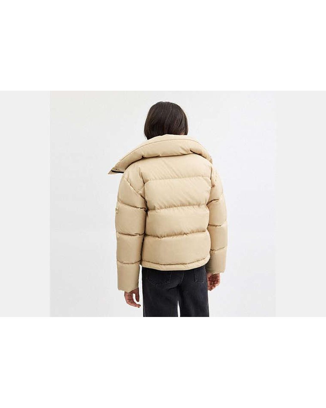 COACH Natural Short Puffer Jacket