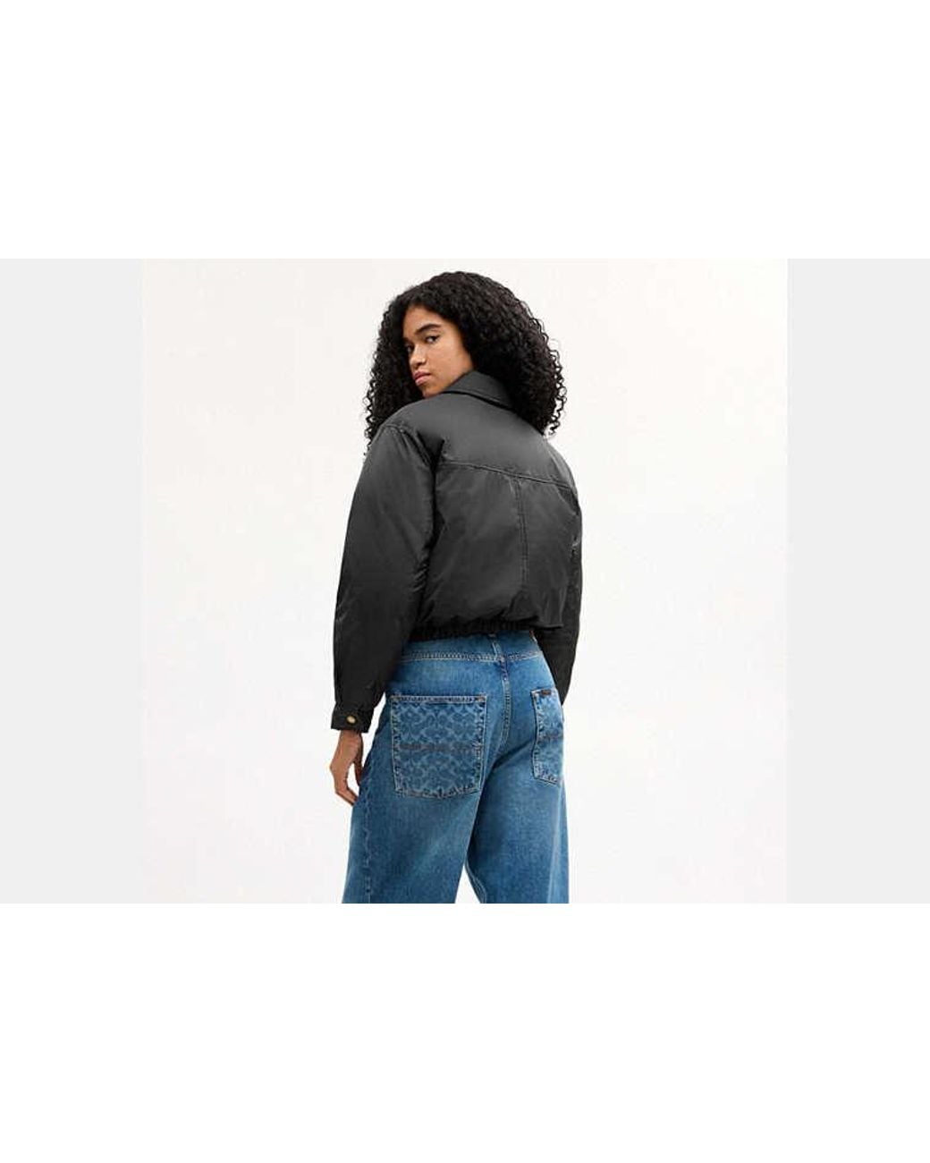 COACH Black Heritage C Blouson Puffer