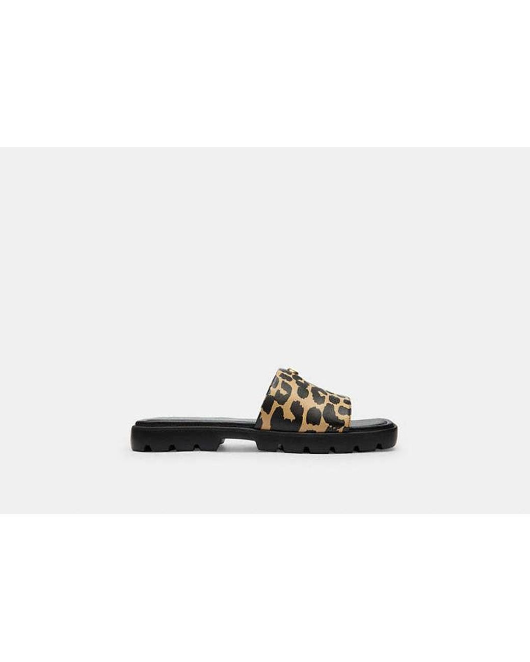COACH Black Florence Sandal With Print