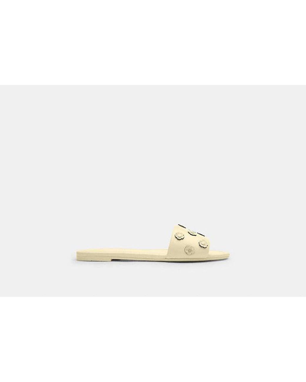 COACH Black Slide Sandal With Tea Rose