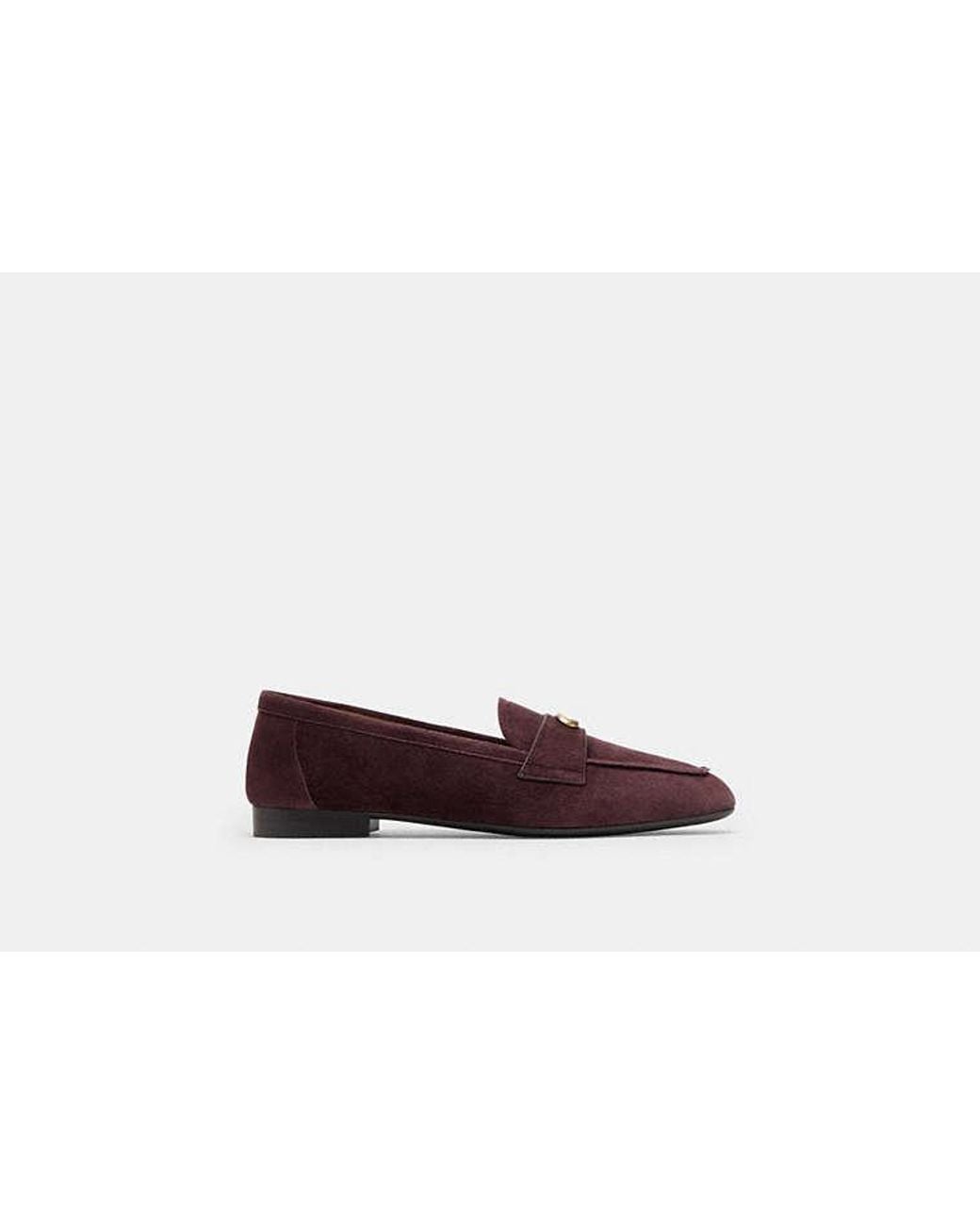 COACH Multicolor Sculpted C Loafer