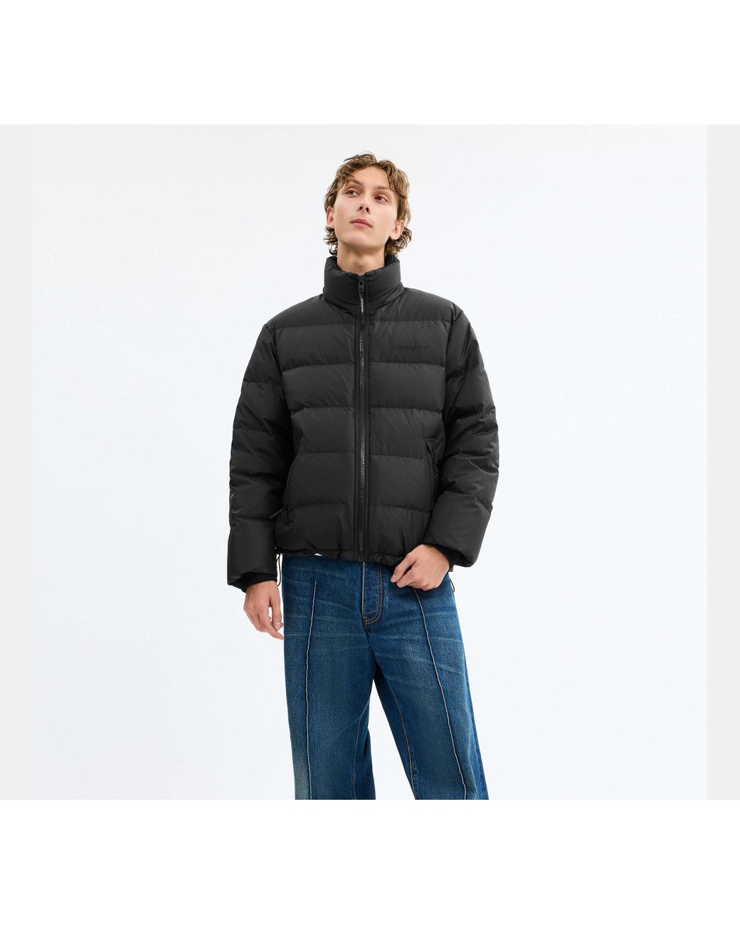 COACH Black Solid Down Jacket for men