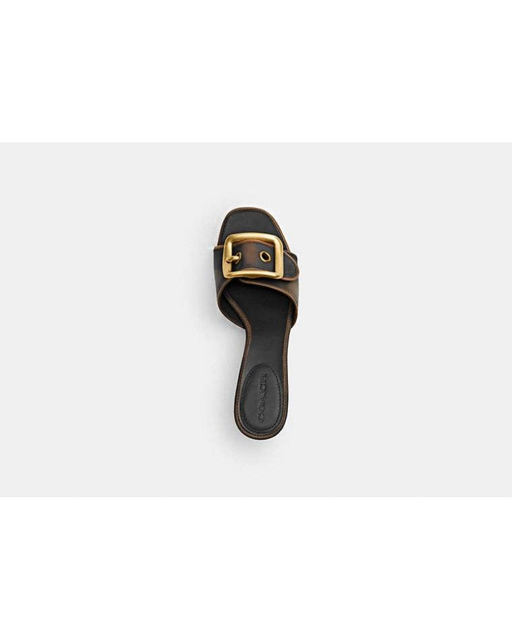 COACH Black Margot Sandal With Oversized Buckle