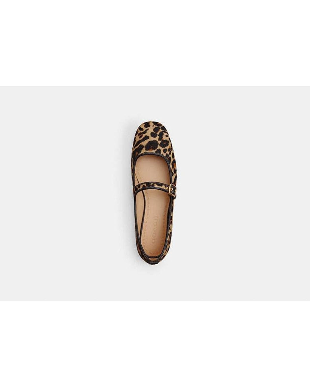 COACH Black C Rivet Mary Jane With Leopard Print