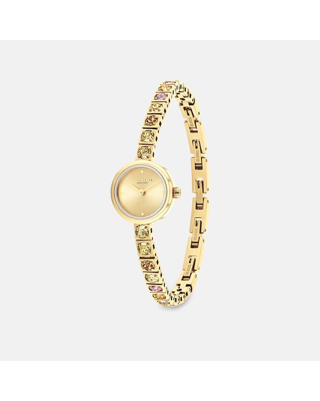 COACH Metallic Iris Watch, 19Mm