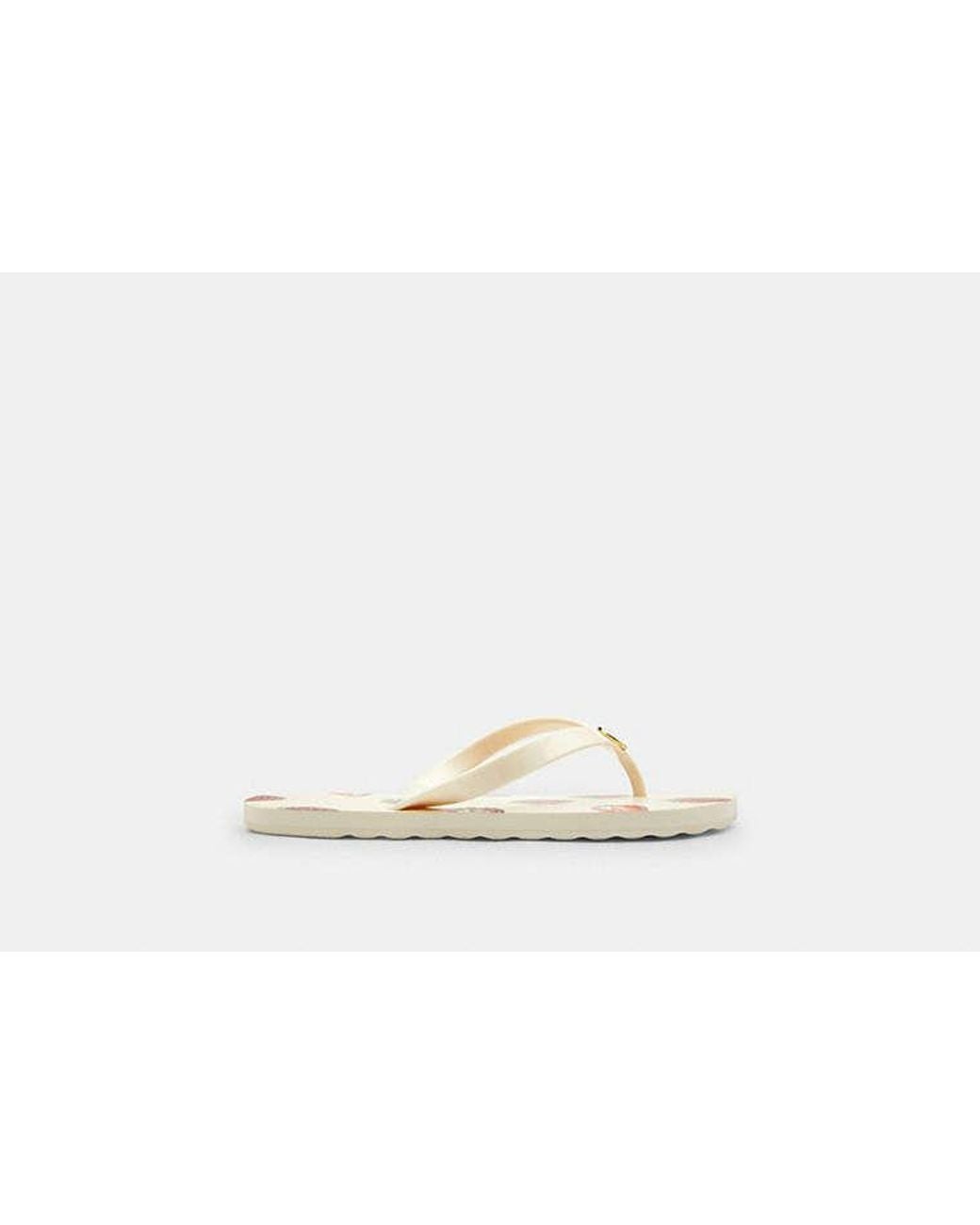 COACH Black Zayn Flip Flop With Fruit Print