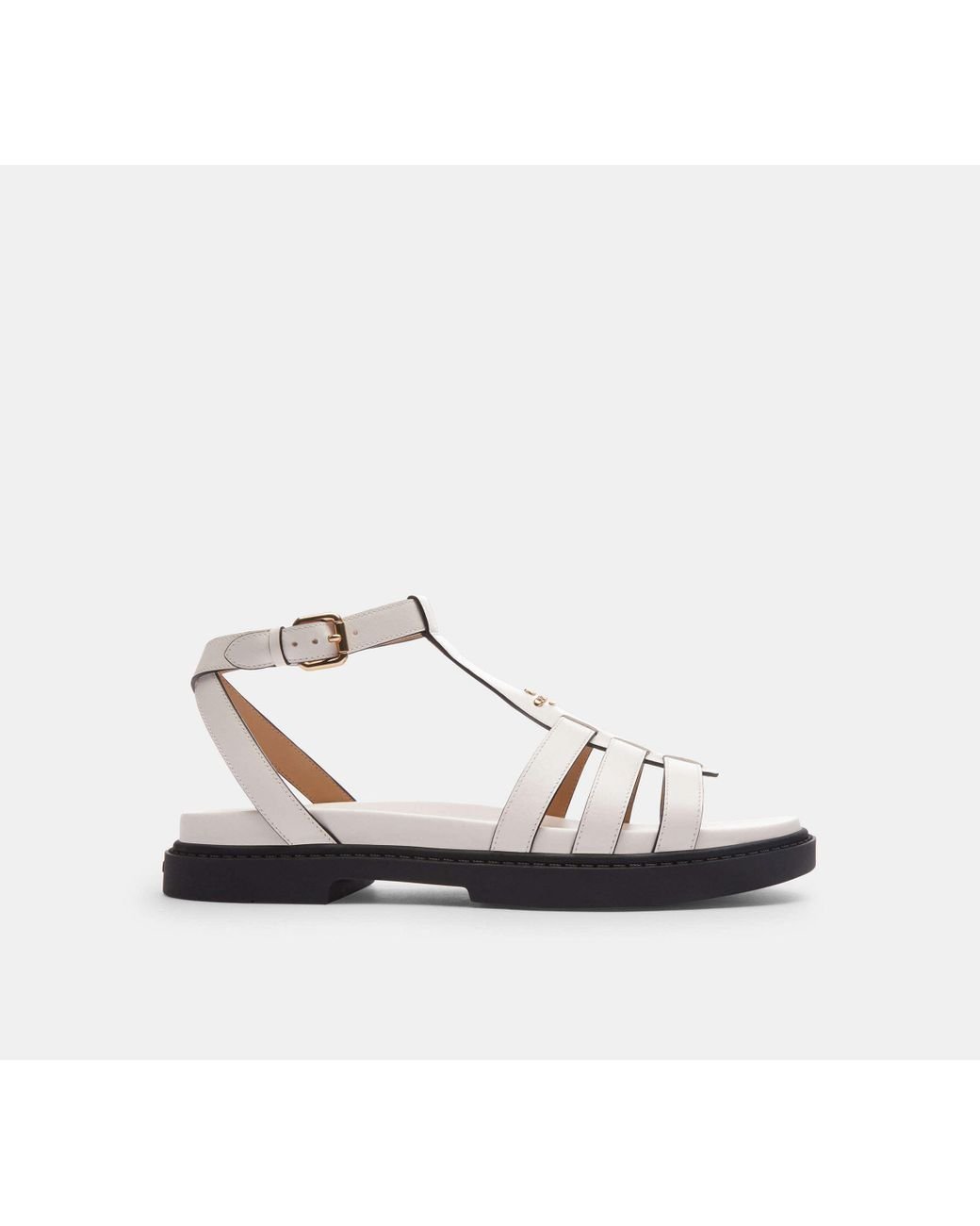 これからの季節に☆【COACH】Franny Sandal 公式】コーチアウトレット | フラニー サンダル