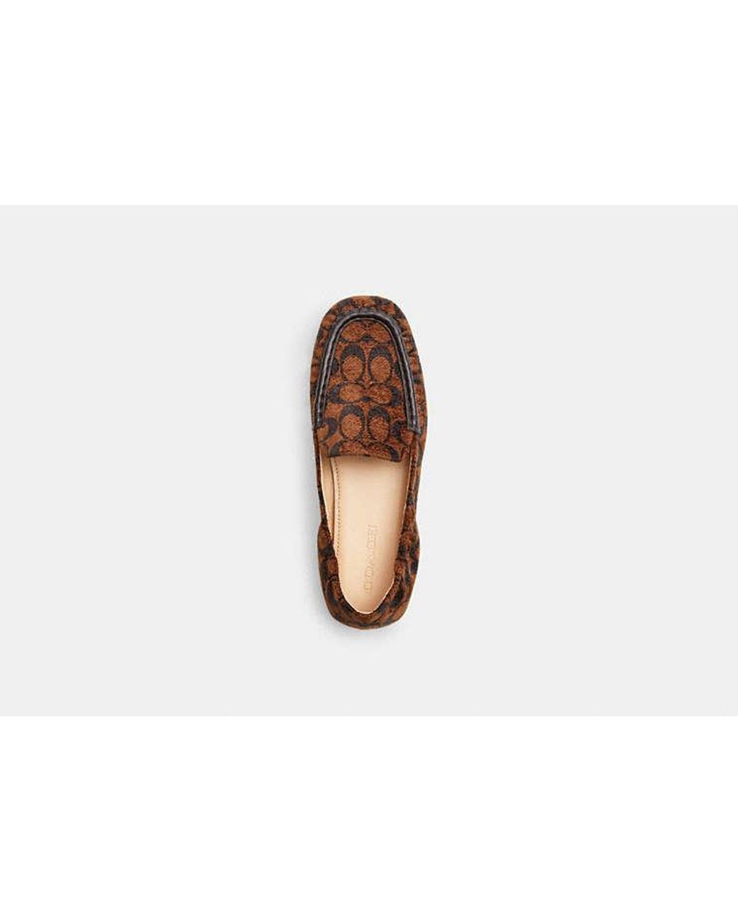 COACH Brown Phoebe Soft Loafer