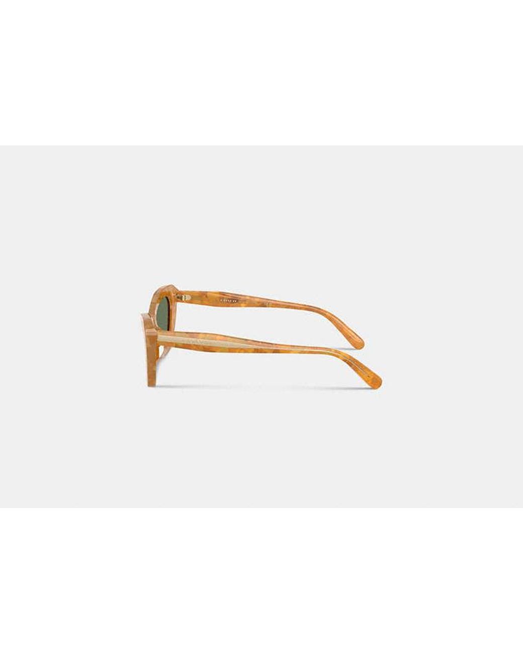 COACH Black Wire Cat Eye Sunglasses