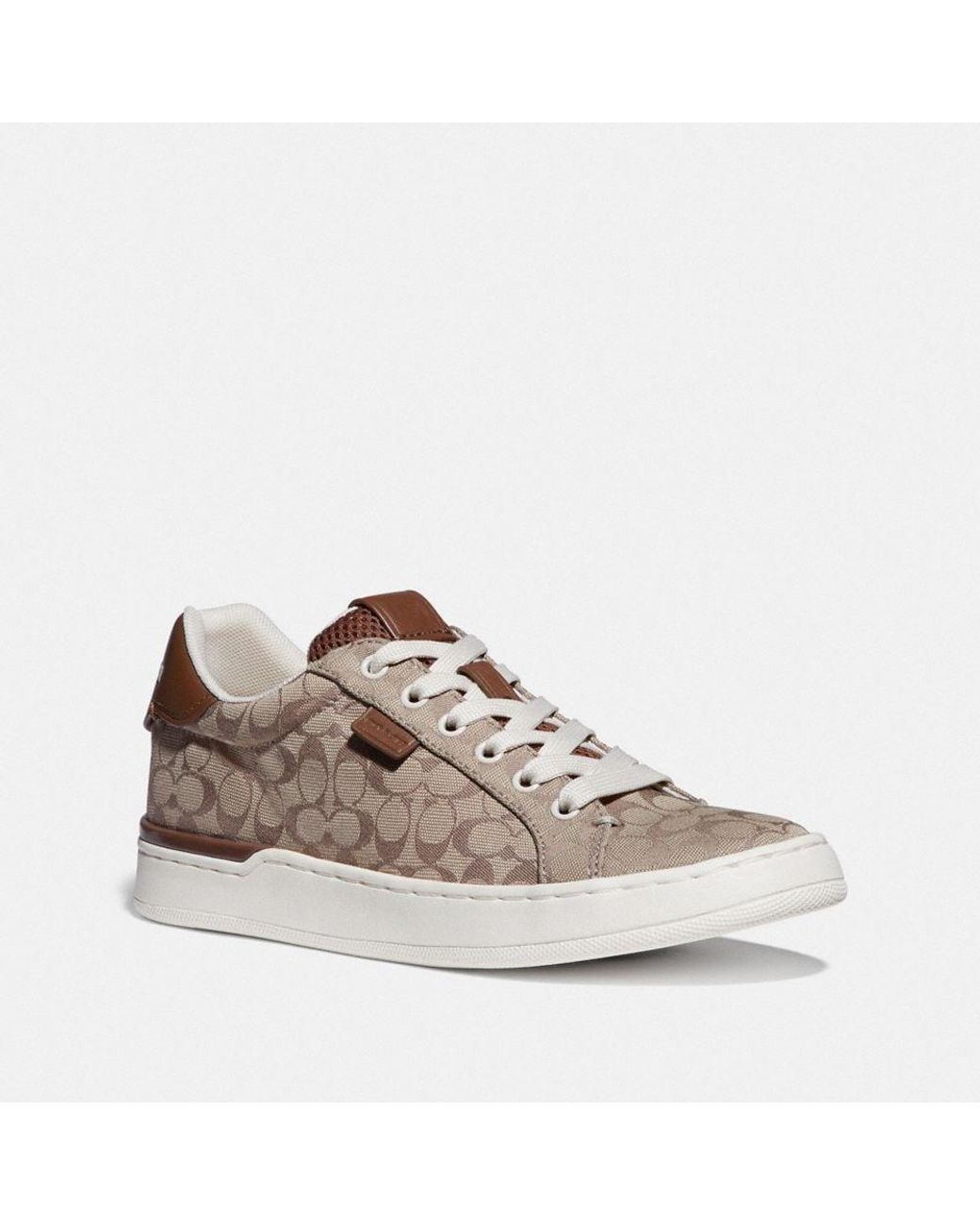 coach lowline low top sneaker