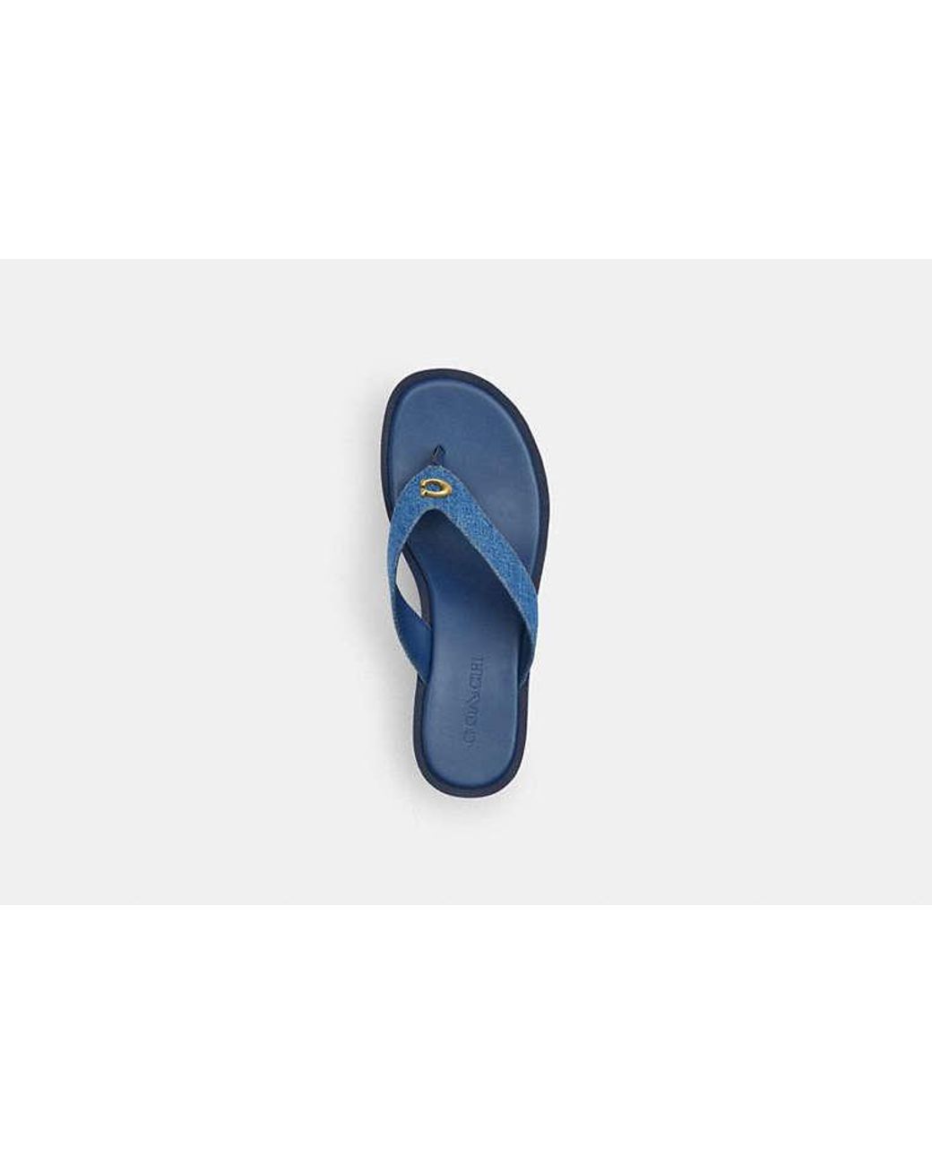 COACH Blue Sculpted C Platform Flip Flop