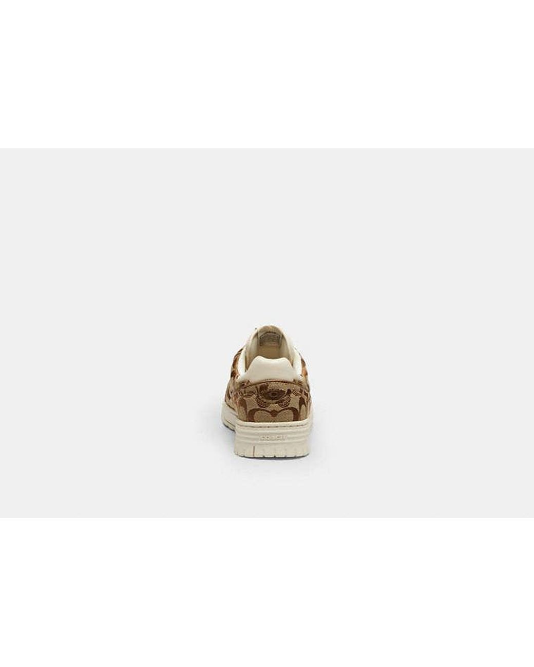 COACH Black Soho Sneaker