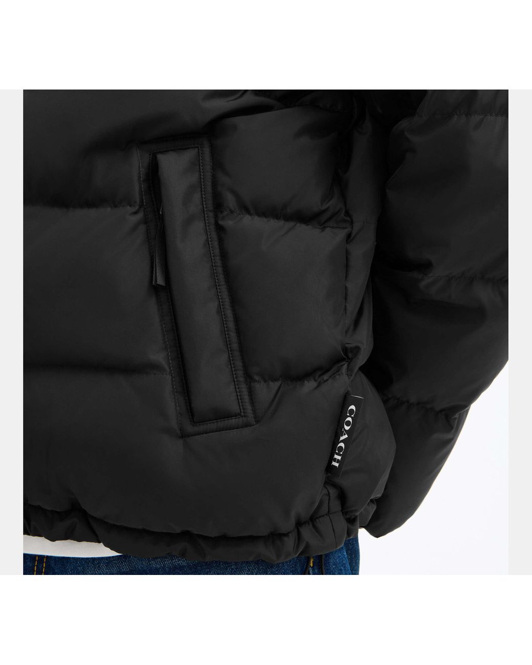 COACH Black Solid Down Jacket for men