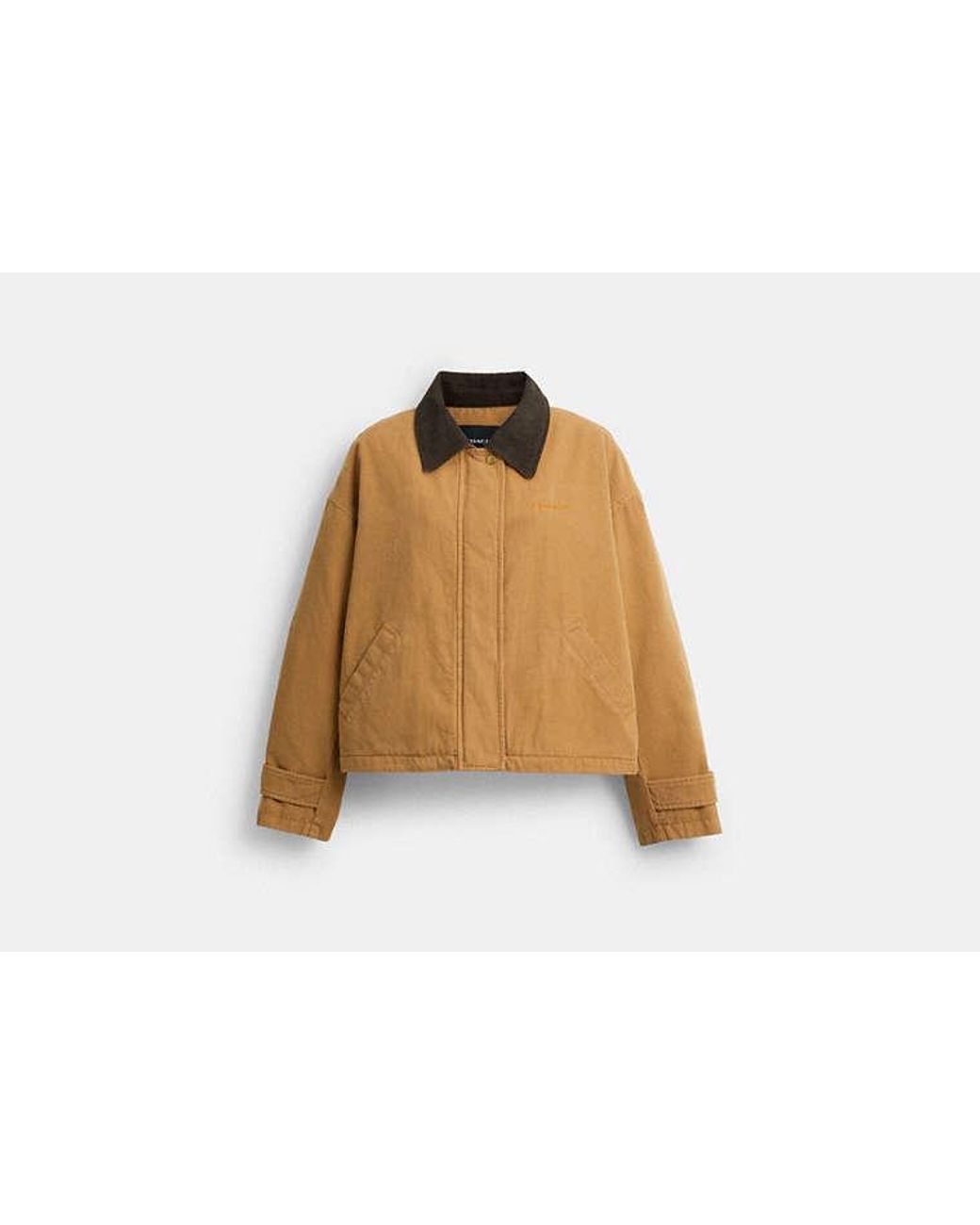 Veste Barn En Pour Femmes, Taille COACH en coloris Black