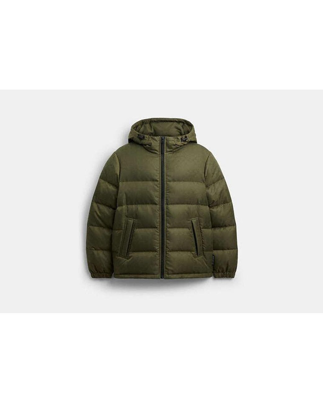 COACH Green Tonal Signature Down Jacket for men