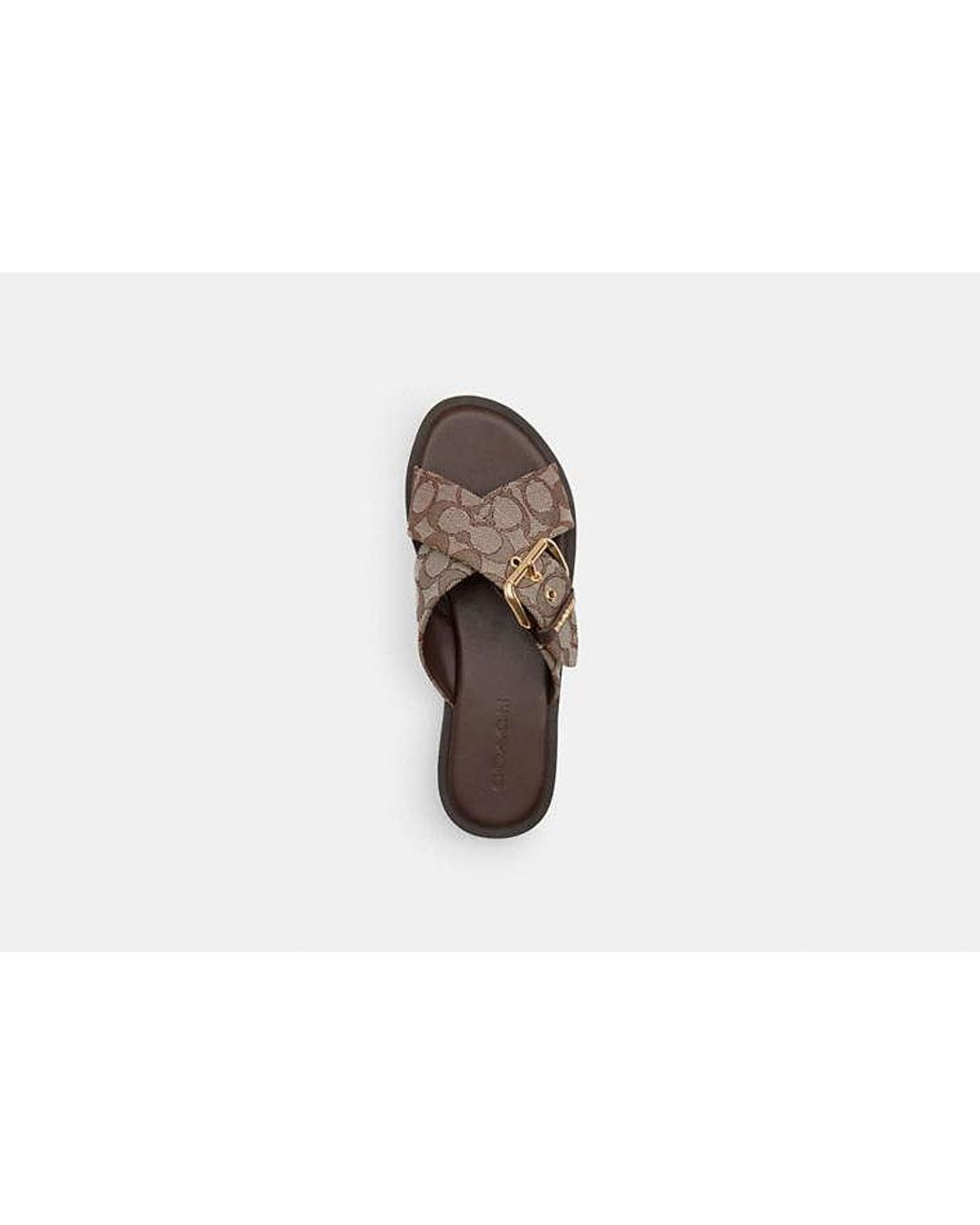 COACH Black Crisscross Buckle Sandal