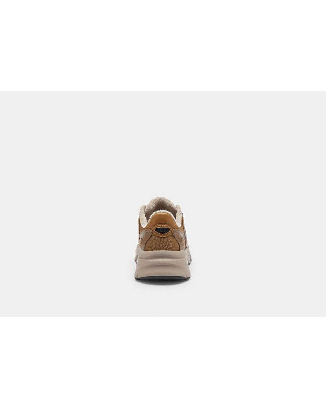 Baskets Bolt Runner En Pour Femmes, Taille COACH en coloris Black