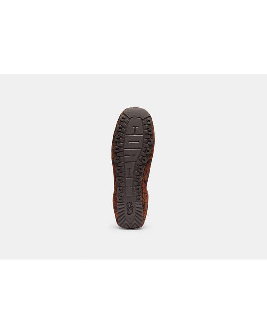 COACH Brown Phoebe Soft Loafer