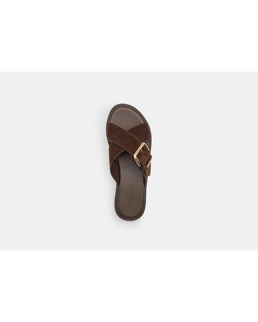 COACH Black Crisscross Buckle Sandal