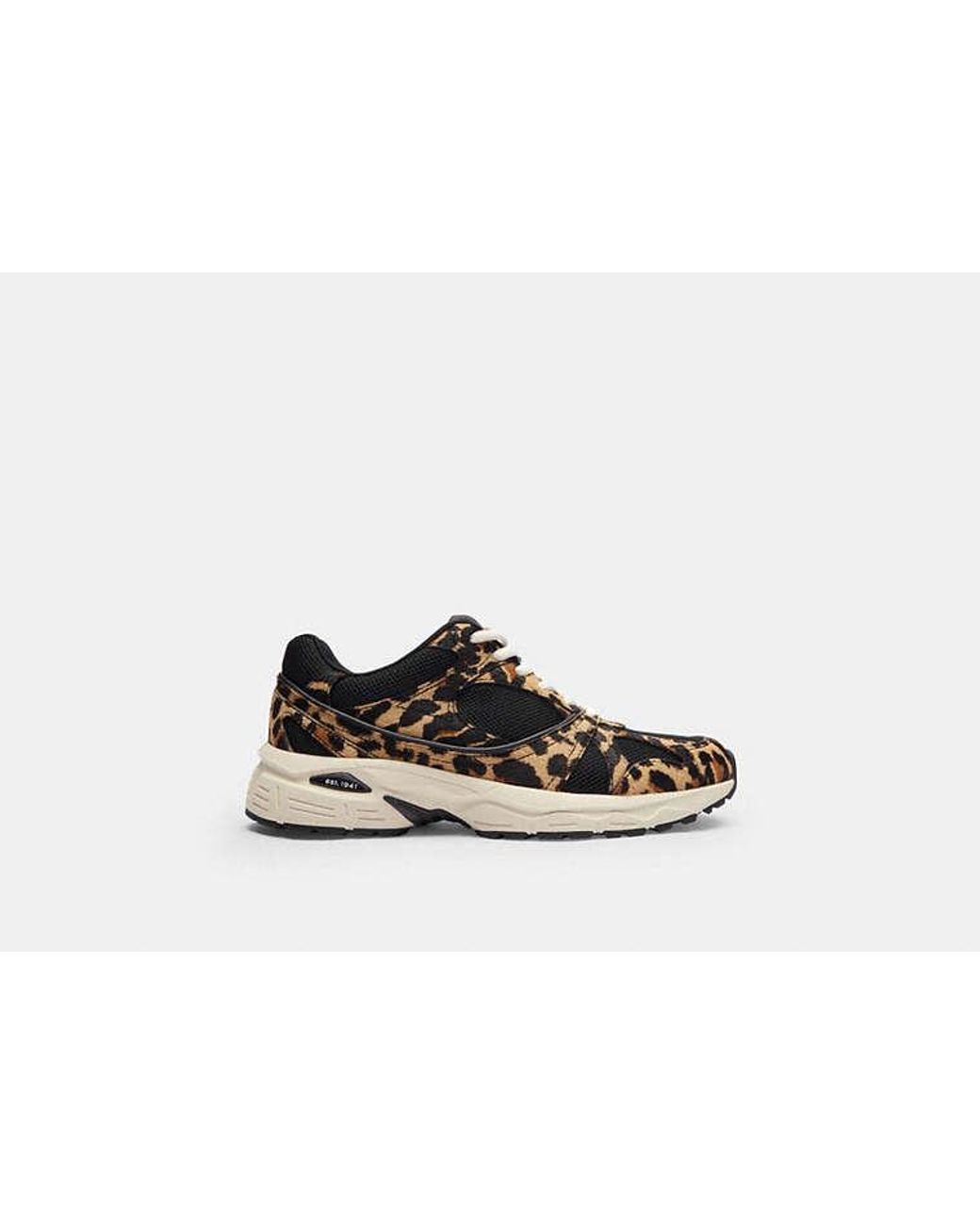 COACH Black Sport Sneaker With Leopard Print
