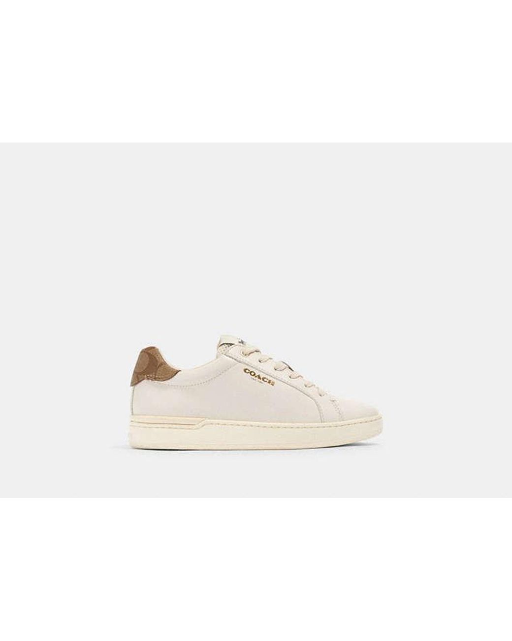 COACH Black Clip Low Top Sneaker