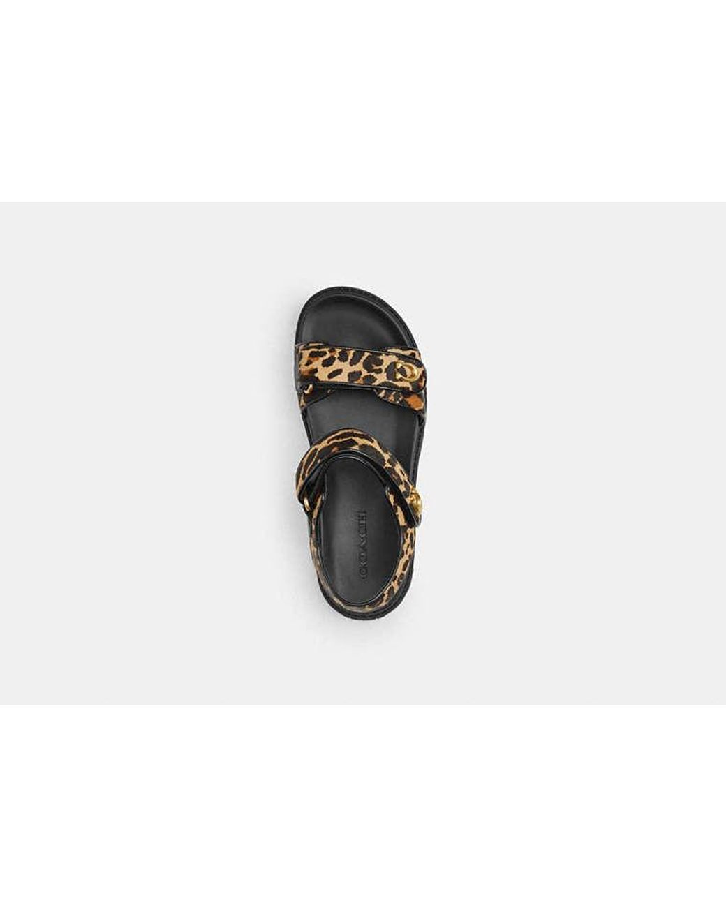COACH Black Brynn Sandal Print Flat