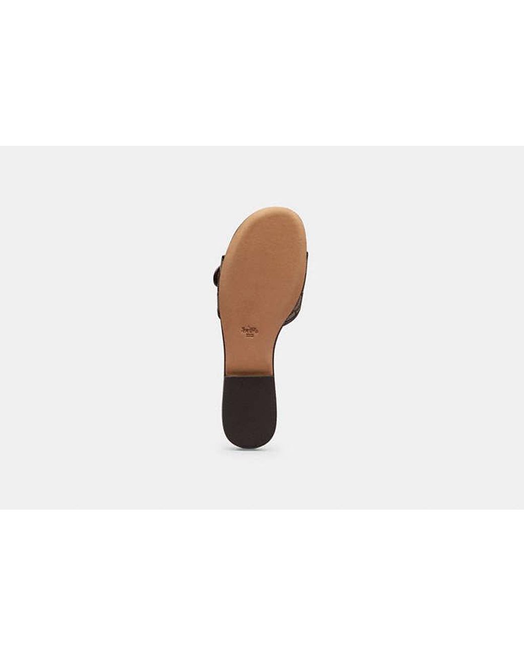 COACH Black Margot Flat Sandal