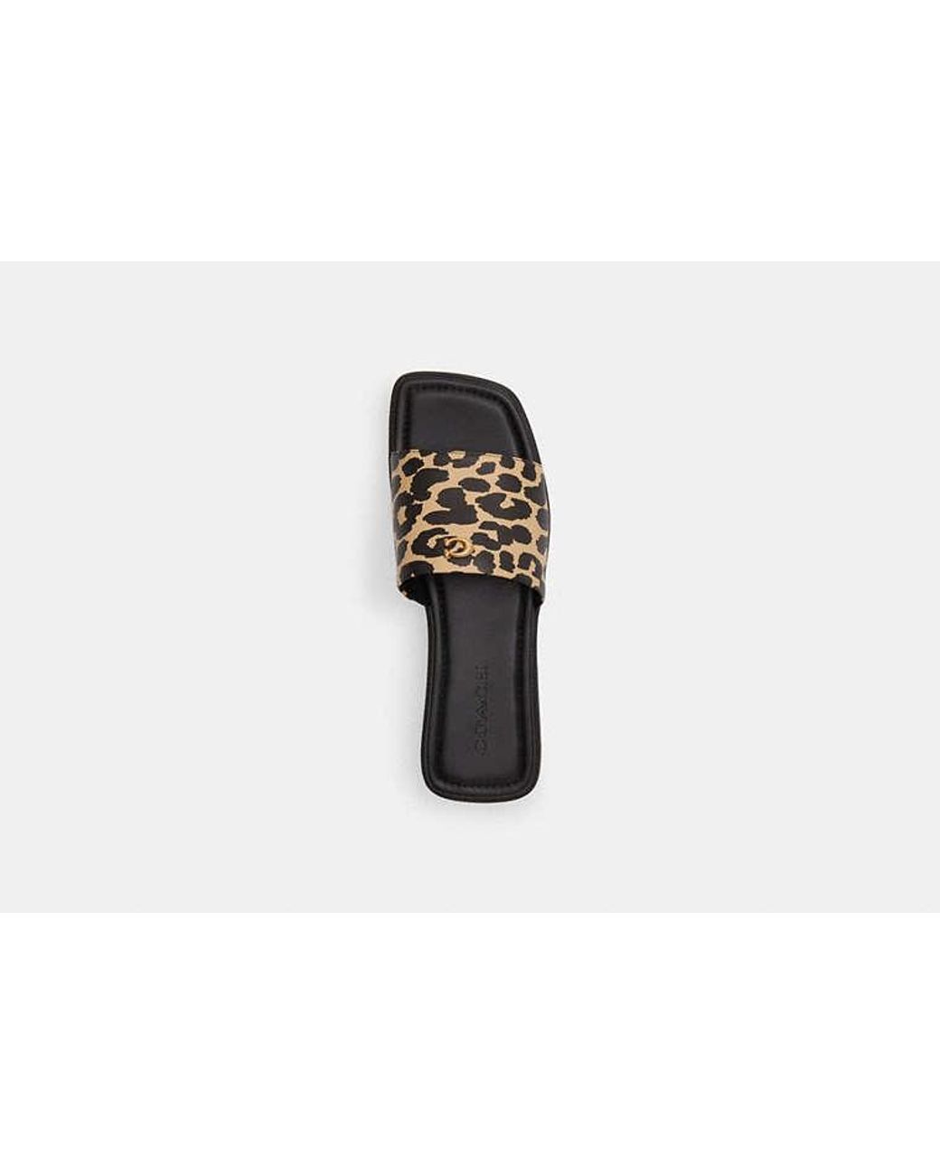 COACH Black Florence Sandal With Print