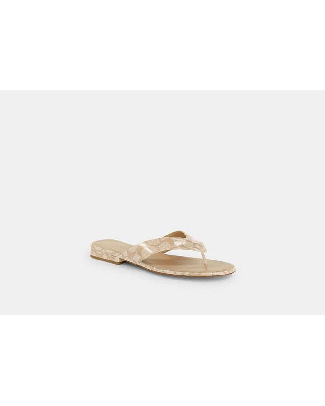 COACH Black Bridgette Sandal