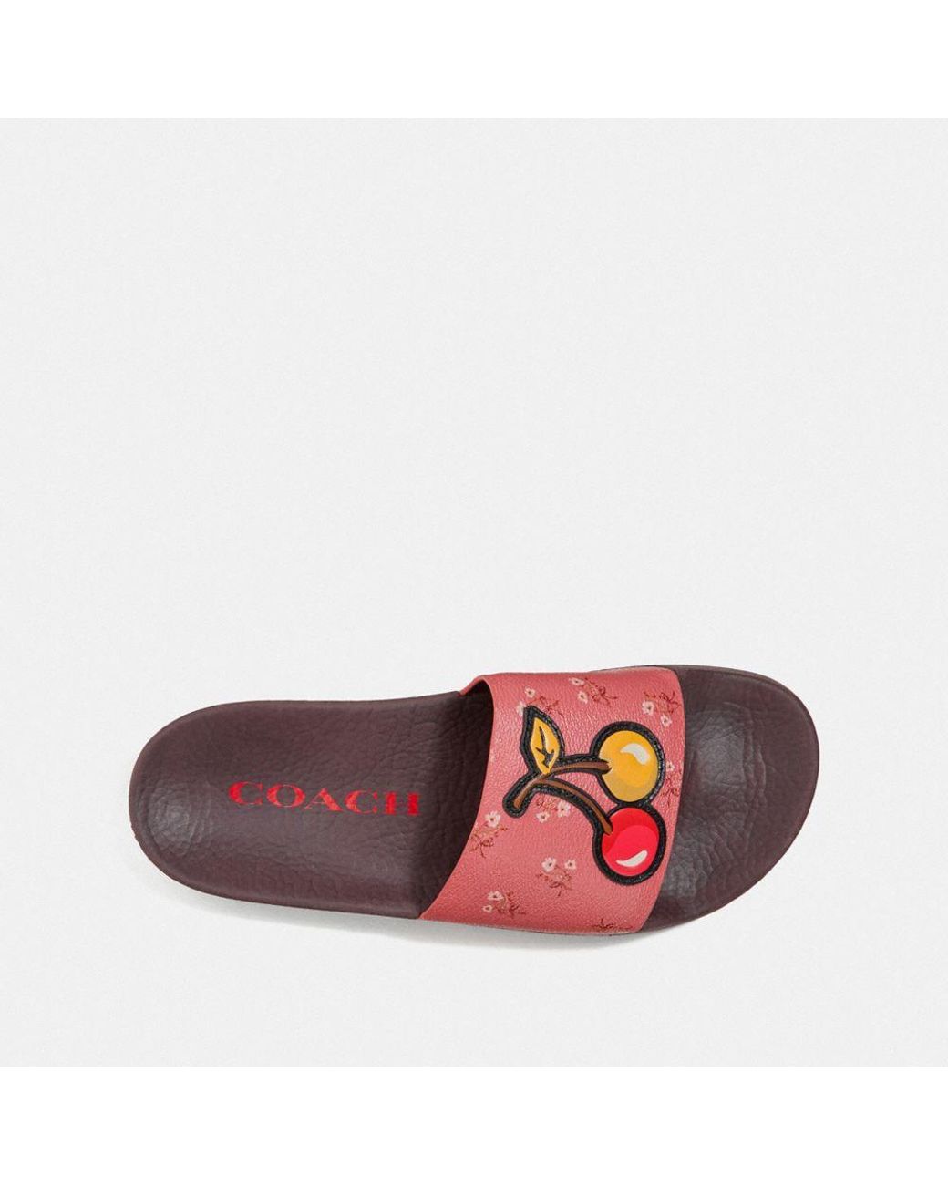 floral coach slides