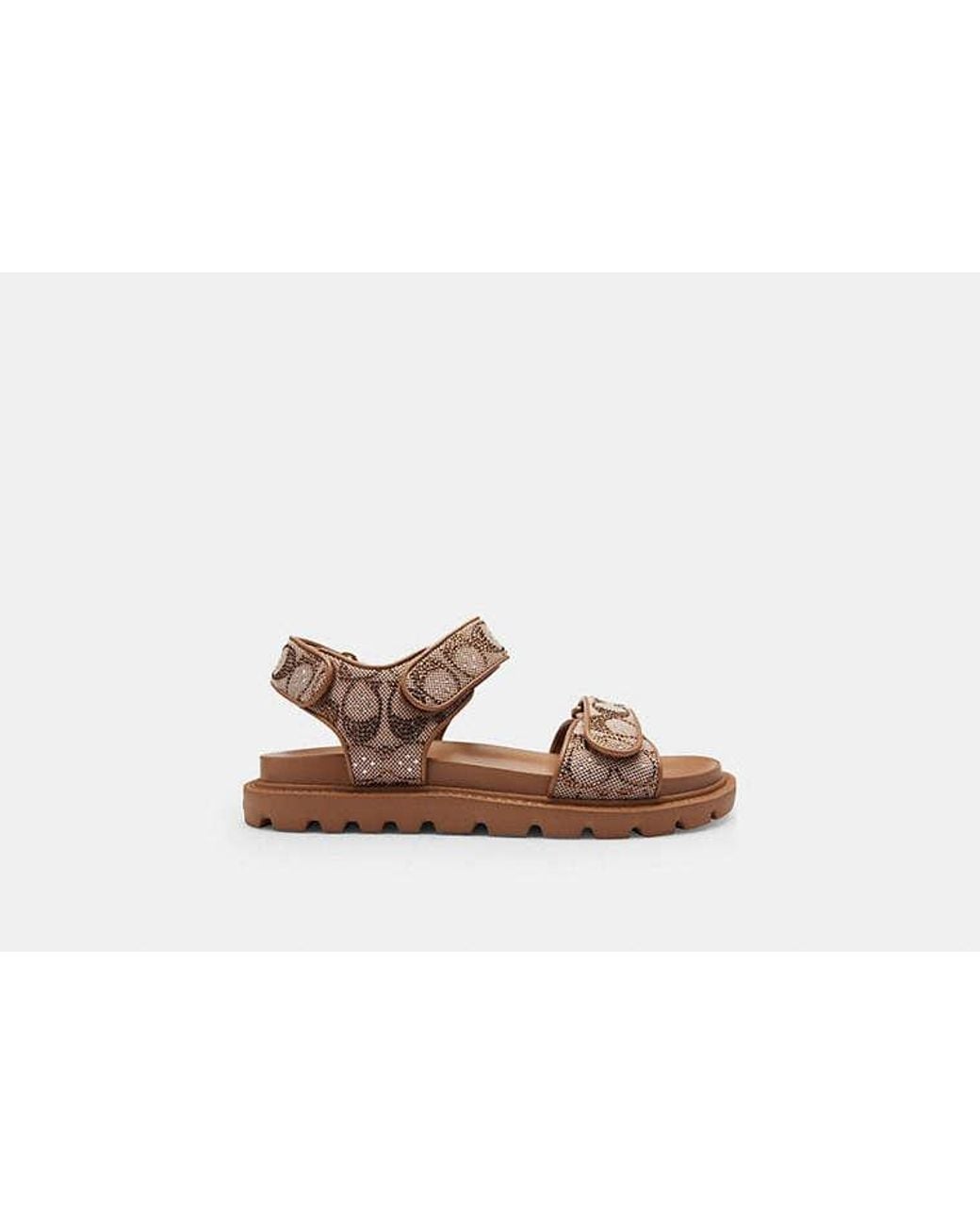 COACH Black Brynn Sandal