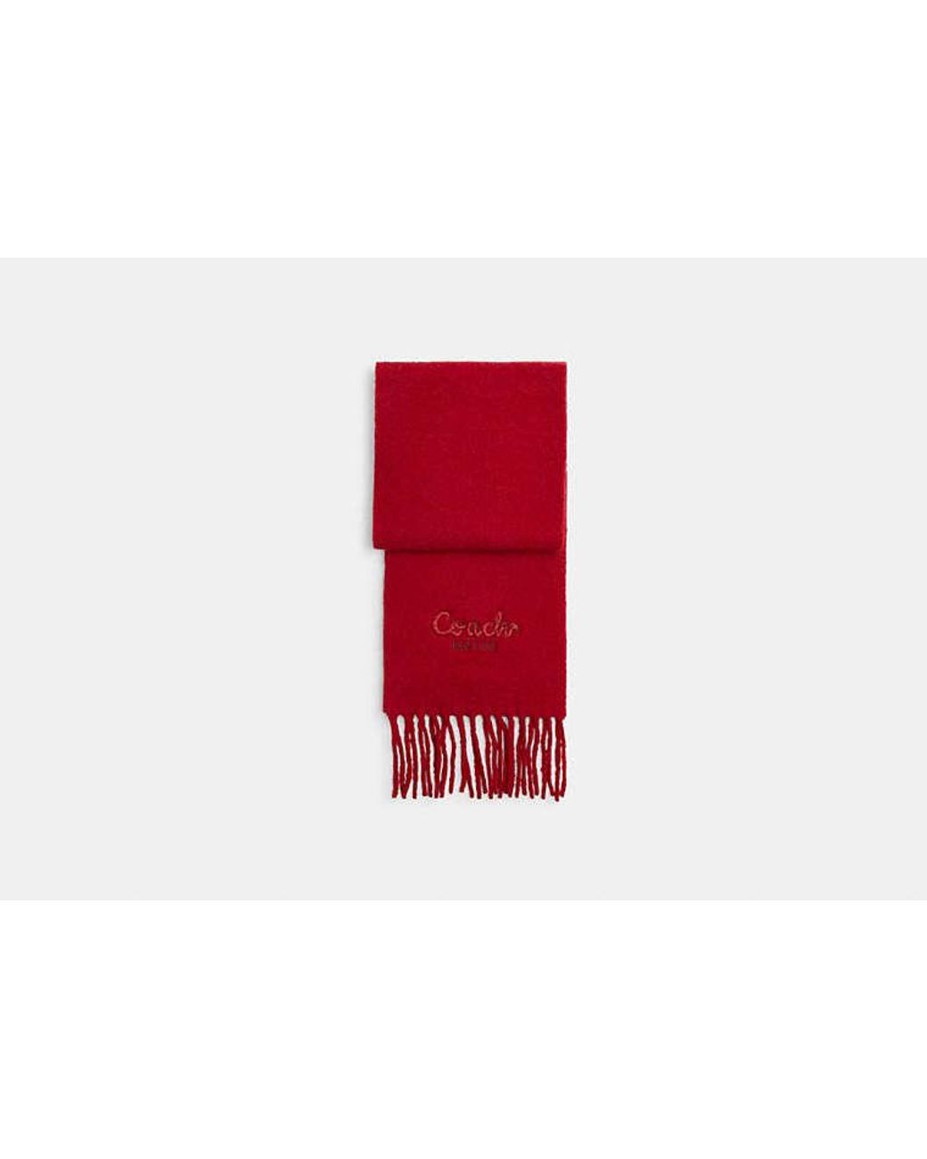 COACH New Year Oversized Muffler With Embroidered Snake Script
