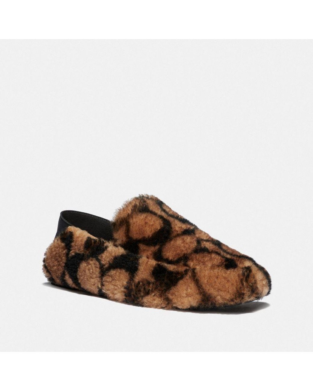 coach zoe slipper